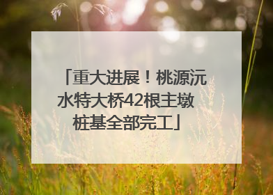 重大进展！桃源沅水特大桥42根主墩桩基全部完工
