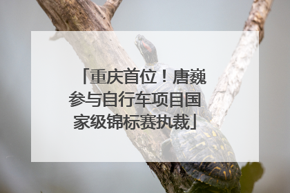 重庆首位！唐巍参与自行车项目国家级锦标赛执裁