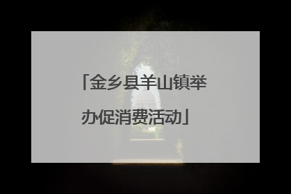 金乡县羊山镇举办促消费活动