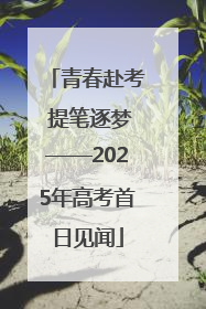青春赴考 提笔逐梦——2025年高考首日见闻
