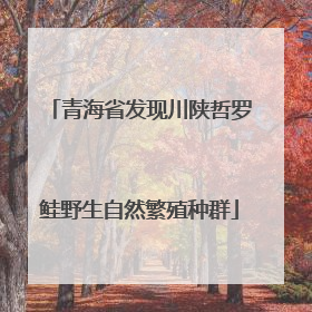 青海省发现川陕哲罗鲑野生自然繁殖种群