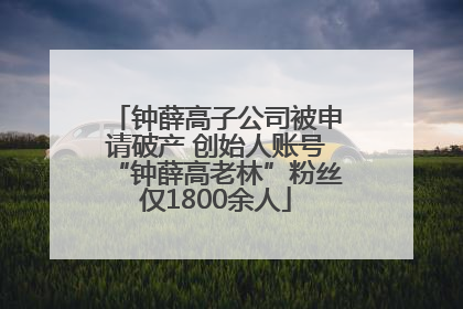 钟薛高子公司被申请破产 创始人账号“钟薛高老林”粉丝仅1800余人