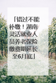 错过不能补缴！湖南灵活就业人员养老保险缴费期延长至6月底