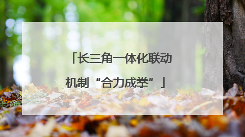 长三角一体化联动机制“合力成拳”