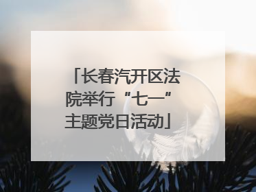 长春汽开区法院举行“七一”主题党日活动