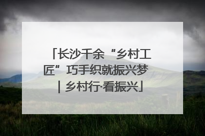 长沙千余“乡村工匠”巧手织就振兴梦｜乡村行·看振兴