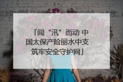 闻“汛”而动 中国太保产险丽水中支筑牢安全守护网