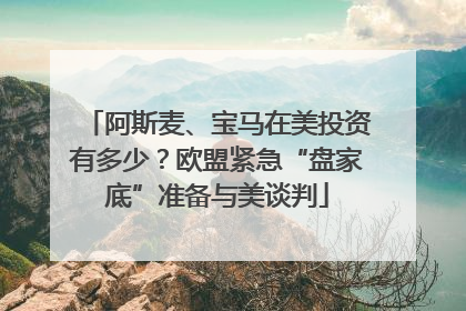 阿斯麦、宝马在美投资有多少？欧盟紧急“盘家底”准备与美谈判