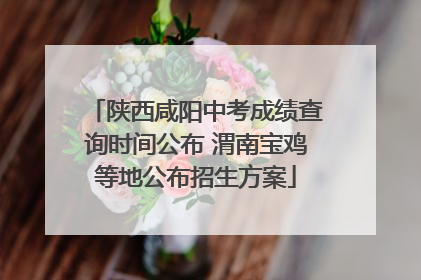 陕西咸阳中考成绩查询时间公布 渭南宝鸡等地公布招生方案