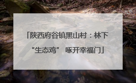陕西府谷镇黑山村：林下“生态鸡” 啄开幸福门