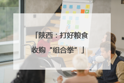 陕西：打好粮食收购“组合拳”