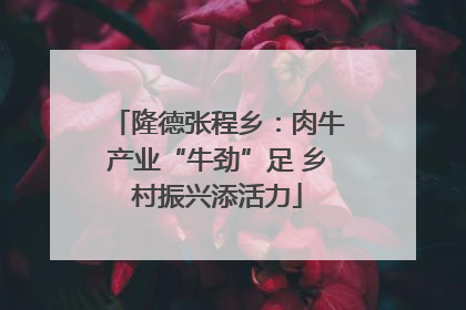隆德张程乡：肉牛产业“牛劲”足 乡村振兴添活力