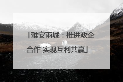 雅安雨城：推进政企合作 实现互利共赢
