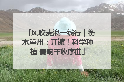 风吹麦浪一线行｜衡水冀州：开镰！科学种植 奏响丰收序曲