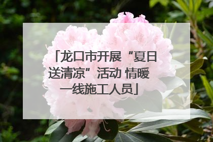 龙口市开展“夏日送清凉”活动 情暖一线施工人员