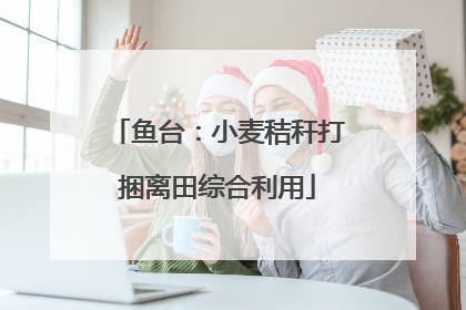 鱼台：小麦秸秆打捆离田综合利用
