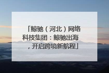 鲸驰（河北）网络科技集团：鲸驰出海，开启跨境新航程