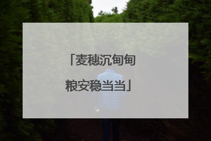 麦穗沉甸甸 粮安稳当当