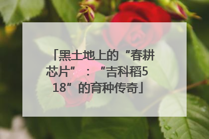 黑土地上的“春耕芯片”：“吉科稻518”的育种传奇