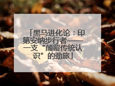 黑马进化论：印第安纳步行者——一支“颠覆传统认识”的劲旅