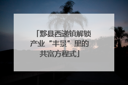 黟县西递镇解锁产业“丰景”里的共富方程式
