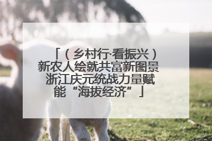 （乡村行·看振兴）新农人绘就共富新图景 浙江庆元统战力量赋能“海拔经济”