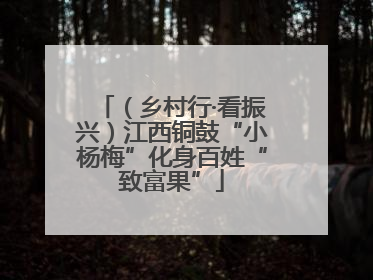 （乡村行·看振兴）江西铜鼓“小杨梅”化身百姓“致富果”