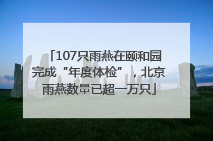 107只雨燕在颐和园完成“年度体检”，北京雨燕数量已超一万只