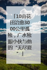 10亩花田治愈3000公里孤独，广水独眼小伙与他的“无尽夏”