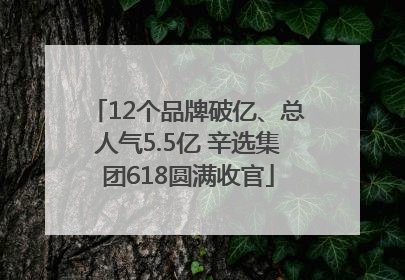 12个品牌破亿、总人气5.5亿 辛选集团618圆满收官