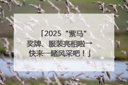 2025“紫马”奖牌、服装亮相啦→快来一睹风采吧！