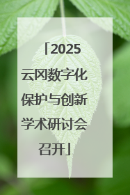 2025云冈数字化保护与创新学术研讨会召开