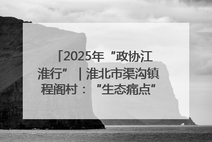 2025年“政协江淮行”｜淮北市渠沟镇程阁村：“生态痛点”变“生态景观”