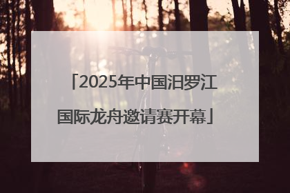 2025年中国汨罗江国际龙舟邀请赛开幕
