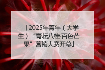 2025年青年（大学生）“青耘八桂·百色芒果”营销大赛开幕