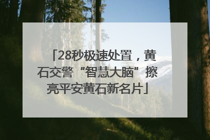 28秒极速处置，黄石交警“智慧大脑”擦亮平安黄石新名片