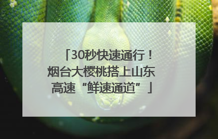 30秒快速通行！烟台大樱桃搭上山东高速“鲜速通道”