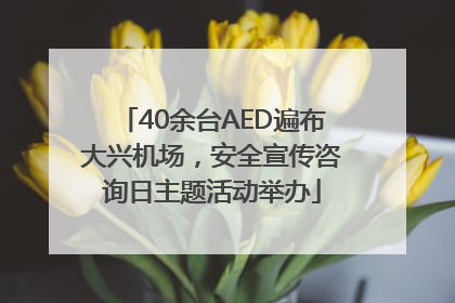 40余台AED遍布大兴机场，安全宣传咨询日主题活动举办