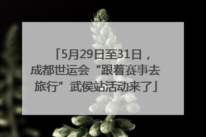 5月29日至31日，成都世运会“跟着赛事去旅行”武侯站活动来了