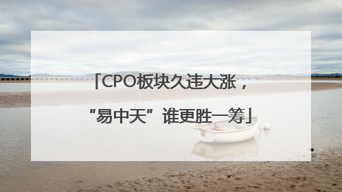 CPO板块久违大涨，“易中天”谁更胜一筹