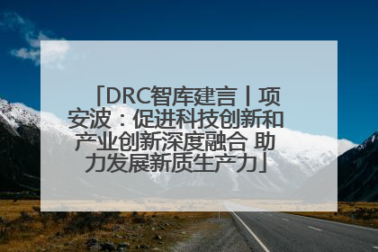 DRC智库建言丨项安波：促进科技创新和产业创新深度融合 助力发展新质生产力