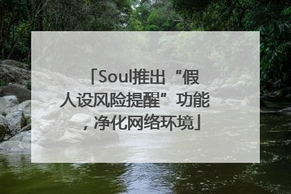 Soul推出“假人设风险提醒”功能，净化网络环境