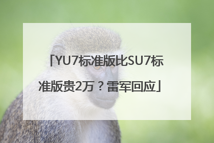 YU7标准版比SU7标准版贵2万？雷军回应