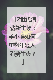 Z世代消费新主场：羊小咩如何重构年轻人消费生态？